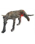 untitled (cheetah)